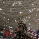 삼성동어린이작은도서관 | [삼성동] 크리스마스 분위기로 꾸며놓은 별마당 도서관 (영업시간/기간)