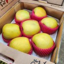 과일소담촌 - 9491 | 과일소담촌