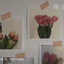 빅마트99 앞 | [일상] 퇴사부터 이직까지 일주일