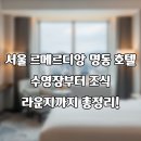르서울호텔 | 서울 르메르디앙 명동 호텔 리얼후기: 수영장부터 조식, 라운지까지 총정리!