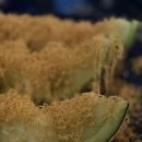 밀림 여의도 이미지