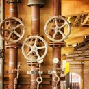 꽃주렁 나무주렁 캠핑장 이미지