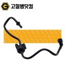 퍼지랜드