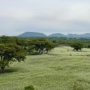 메밀마을 - 홍천군 사락골길 24-2 | 메밀마을
