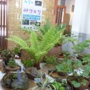 동의중학교 이미지