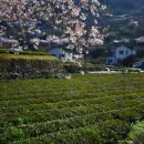 놀부네집 이미지