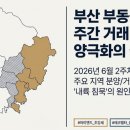 드파인대성공인중개사사무소 | 26.6.7~13일 부산 주요지역 분양권