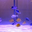 국토보상 행정사 사무소 이미지