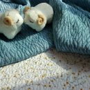 엄마손빨래방 이미지