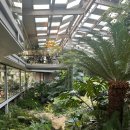 시커먼스 | 서울 근교 실내 데이트 양주 카페 파주 마장호수 근처 대형 식물원카페 오랑주리 내돈내산 강력추천 후기