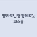 피스 티스토리