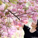완산-26 이미지