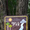 양실유치원 샌드블라스트 입간판 상품후기