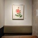 [직장인]식물세밀화 색연필 보타니컬아트(수)19:00 | [대구]나비집 봉산문화길본점 갤러리카페 권승욱초대개인전 수제호두 과자 땅콩빵