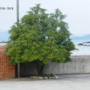 설천면055 이미지