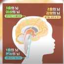 정광콘트롤 이미지