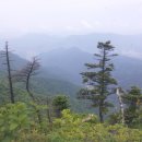 노여움을 풀어 버리는 가장 빠른길 이미지