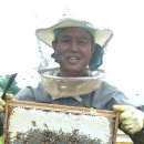 천연산야초농장 이미지