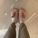 모넬롱 | [창원 애견미용] 도계동 오픈형 애견미용실 - 모넬롱