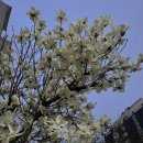 씨유 청주운천무지개점 | 하이데얼 | 일상