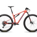 산타 크루즈 이미지