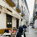 꼬모커피바(como coffee bar) | 살기] #20. 현지인 튀김 맛집 보데기타 블랑코 세릴로 Bodeguita Blanco Cerrillo. 멸치 튀김. Tapas Bar.