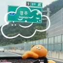 라라스테이B 이미지