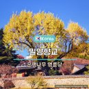 고성교육도서관 화장실(2층) | 밀양 향교 은행나무 주차장 명륜당 작은 도서관 대성전