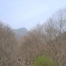여름속에서 겨울을 본 속리산 천왕봉(1,058m,HL/CB-014)(20160410)... 이미지