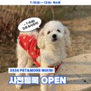 pet338다8114 | 2026 펫앤모어 부산(하) 개최정보, 이벤트 정보