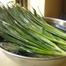 늘푸른건강마을 이미지