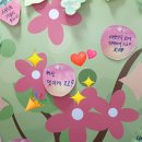 더라이징스타 이미지