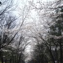 방아다리근린공원 이미지