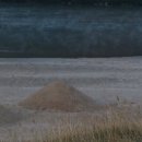 평사리공원2 이미지