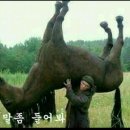 의왕순대국 이미지