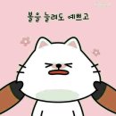 예쁘니