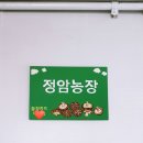 정암농장 이미지