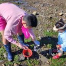 노블레스팬션 이미지