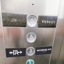 리버스핏 이미지