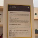 강남9길 | [테르엔 강남일원점] 효소짐질 내돈내산 후기_ 엄마랑 데이트🧖‍♀️❤️‍🔥 (가격, 주차정보, 준비물, 꿀팁, 원리)