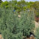 태림농장 이미지