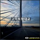 염쟁이강씨의 깔끔한 송탄 공설묘지 원스톱 파묘 후기