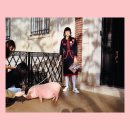 황금돼지 이미지