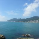 산바다횟집 Daum카페