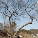 여주여인숙 이미지