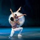 해설이 있는 발레 <백조의 호수> 이미지