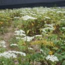 현기농장 이미지