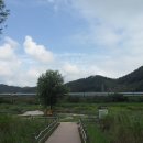 화포천생태습지공원 이미지