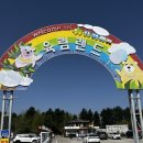 육림 | 춘천 아이랑 갈만한곳, 육림랜드 주말 방문 후기(20개월 기준)