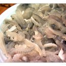 동신횟집 이미지